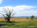 National Park Neusiedler See-Seewinkel