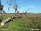 National Park New Forest