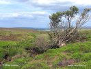 National Park North York Moors