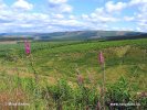 National Park Northumberland