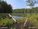 National Park Nuuksio