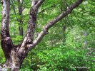 National Park Paklenica