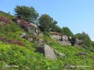 National Park Peak District