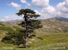 National park Pindos/Valia Calda