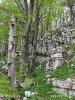 National Park Risnjak