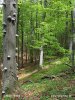 National Park Risnjak