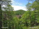 National Park Risnjak