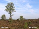 National Park Sallandse Heuvelrug