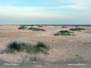 National Park Schleswig-Holsteinisches Wattenmeer