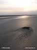 National Park Schleswig-Holsteinisches Wattenmeer