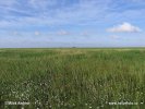 National Park Schleswig-Holsteinisches Wattenmeer