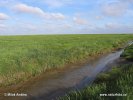 National Park Schleswig-Holsteinisches Wattenmeer