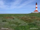 National Park Schleswig-Holsteinisches Wattenmeer