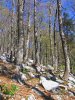 National Park Sjeverni Velebit