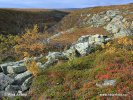 National Park Varanger (Varangerhalvøya)