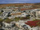 National Park Varanger (Varangerhalvøya)