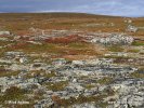 National Park Varanger (Varangerhalvøya)