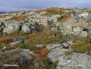 National Park Varanger (Varangerhalvøya)