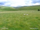 National Park Yorkshire Dales