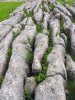 National Park Yorkshire Dales