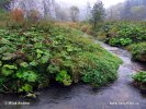 Ojcow National Park