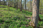 Protected Landscape Area, PP Třemešný vrch