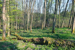 Protected Landscape Area Brdy, PR Třemešný vrch