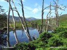 Scotland, Glen Cannich