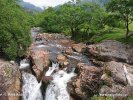 Scotland, Strathconon Forest