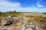 Ytre Hvaler nasjonalpark