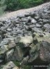 スウェーデン