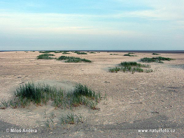 Þýskaland