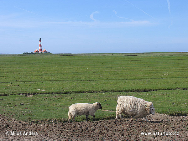 Þýskaland