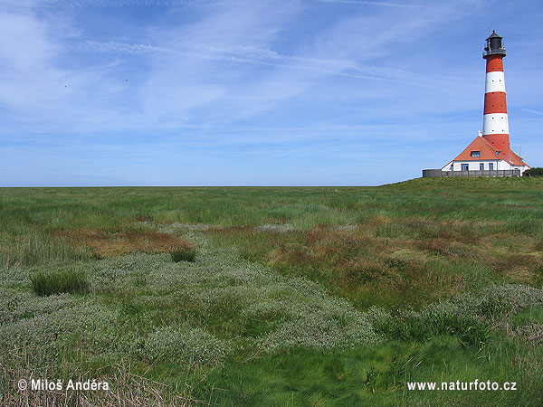 Þýskaland