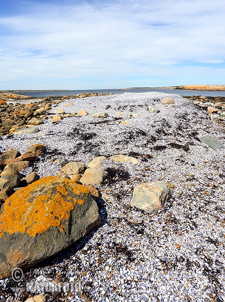 Ytre Hvaler nasjonalpark