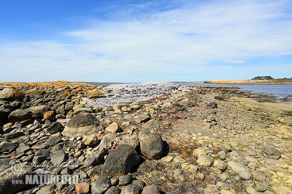 Ytre Hvaler nasjonalpark