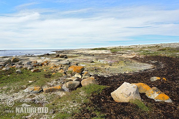 Ytre Hvaler nasjonalpark