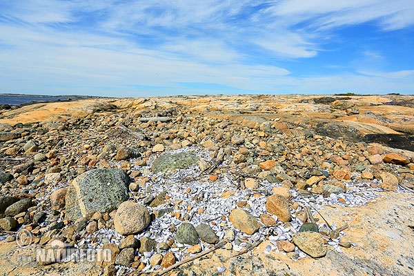 Ytre Hvaler nasjonalpark