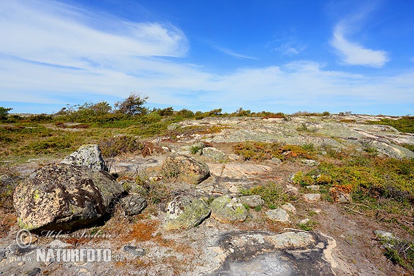 Ytre Hvaler nasjonalpark