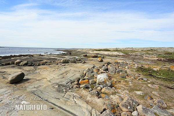 Ytre Hvaler nasjonalpark