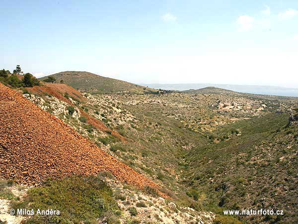 Yunanıstan