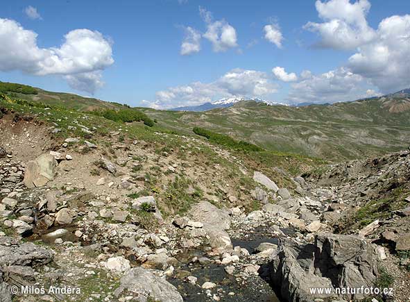 Yunanıstan