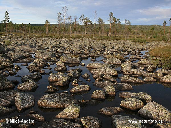 Zweden