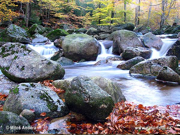 Йизерские горы