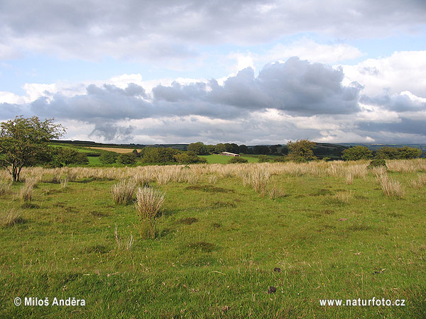 Великобританія острів