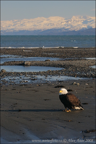 Alaska, USA