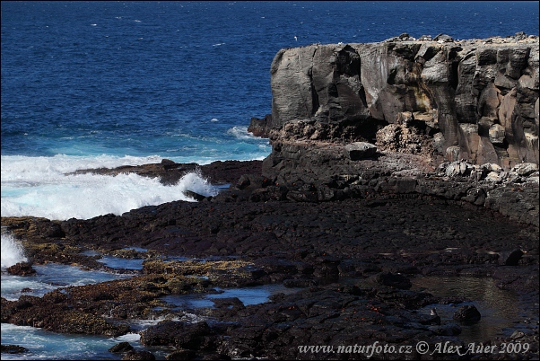 Galapagos - Espanola Island (EC)