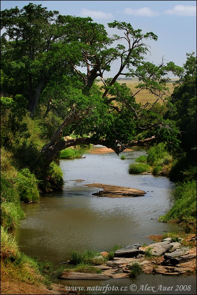 Kenya