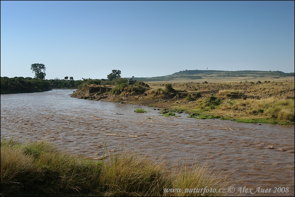 Mara River (KA)