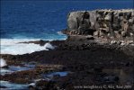 Galapagos - Espanola Island